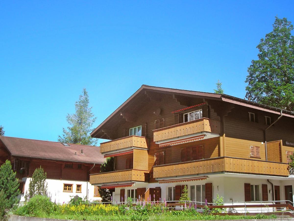 Apartment Chalet Almis-Boedeli-2 By Interhome Гріндельвальд Екстер'єр фото